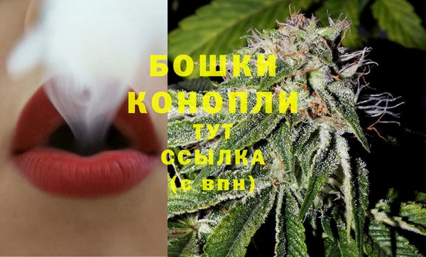 трава Армянск